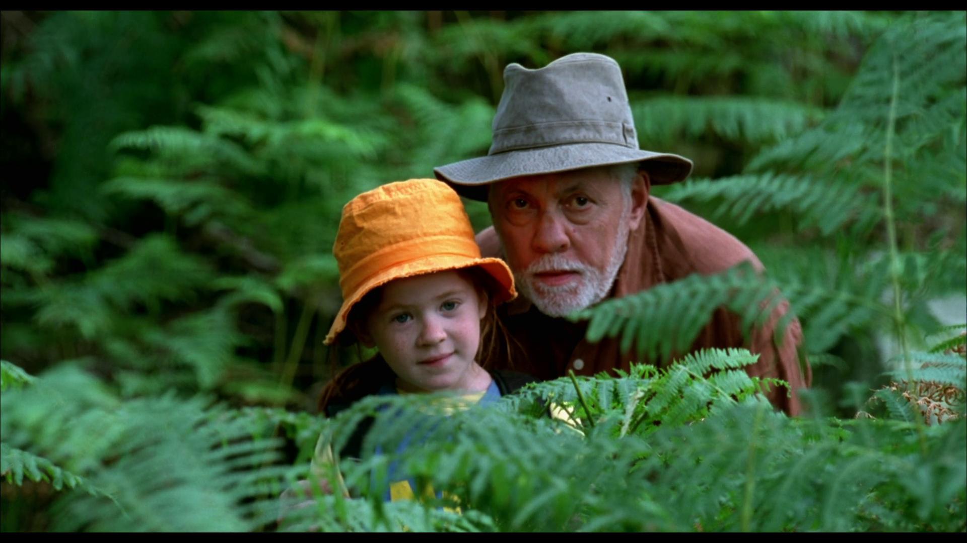 蝴蝶 2002[00-34-44][20220212-232017495].jpg