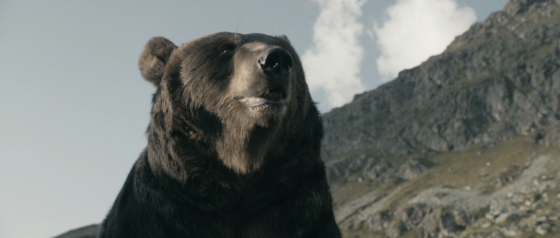 克莱拉与熊的秘密 (2013) 1080p [AAC, AC3] [zho, eng].mkv_20241022_040221.585_看图王.jpg