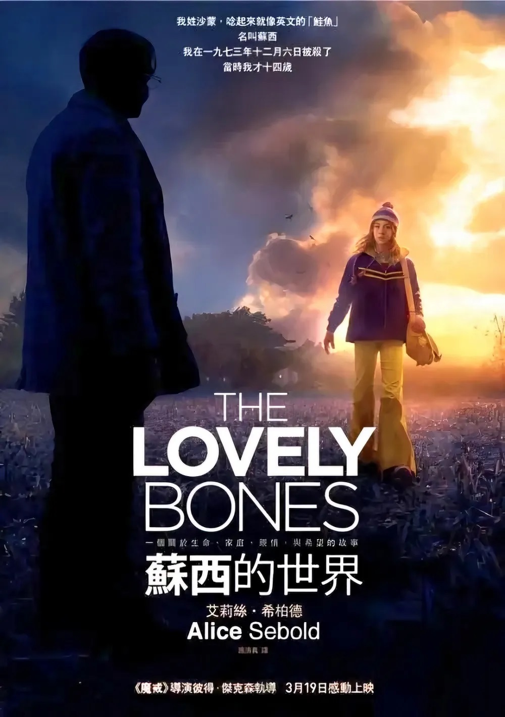 蘇西的世界 台灣海報.jpg