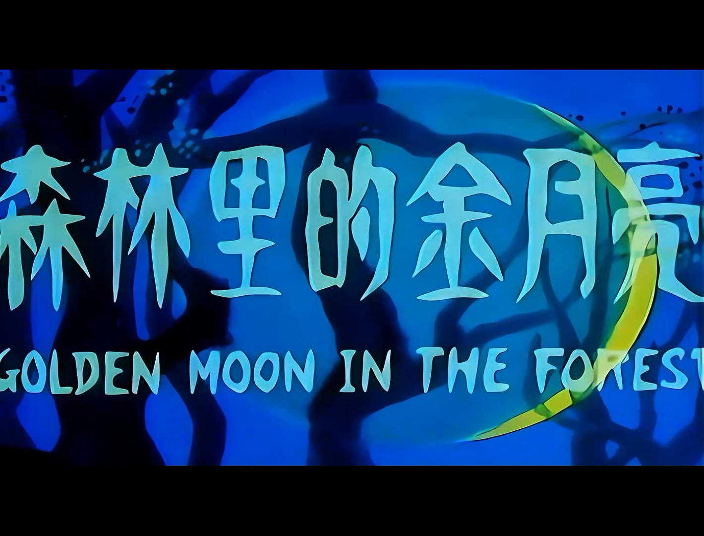 1989.森林里的金月亮.mp4_20241118_200831.783.jpg