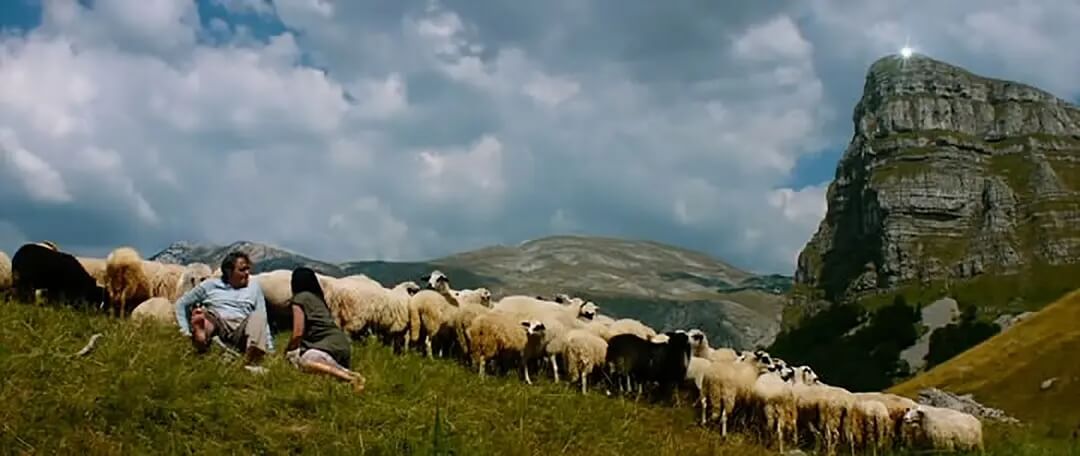 p2427939320.webp (1).jpg