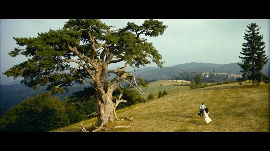 p2501293736.webp (1).jpg