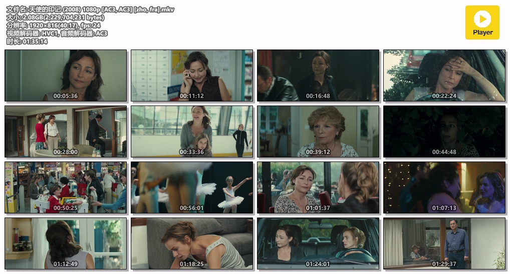 天使的印记 (2008) 1080p [AC3, AC3] [zho, fra].mkv.jpg