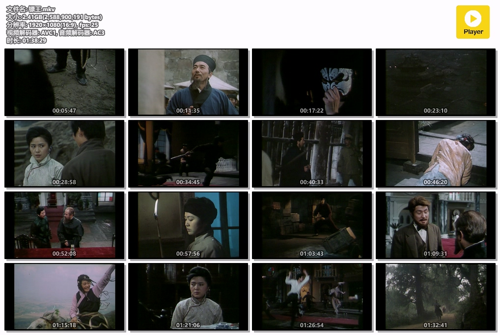 镖王.mkv.jpg