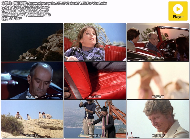 [落在树梢].Sur.un.arbre.perche.1971.DVDrip.x264.Chi.Fre-Vice0.mkv.jpg