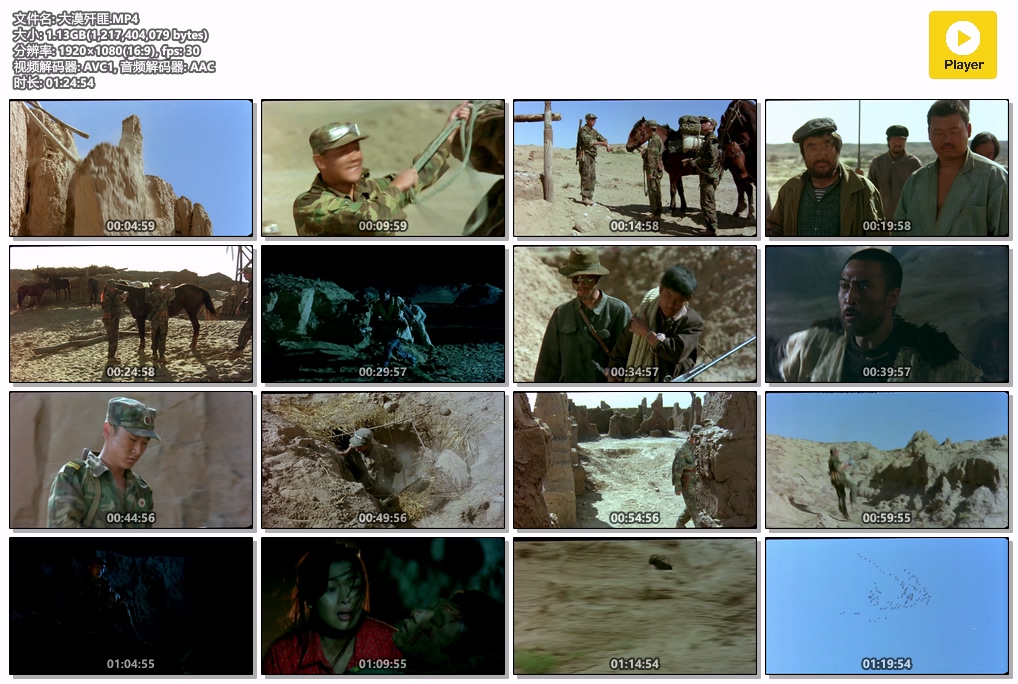 大漠歼匪.MP4.jpg