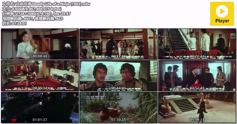 亡命忍者 Deadly Life of a Ninja (1983).mkv.jpg