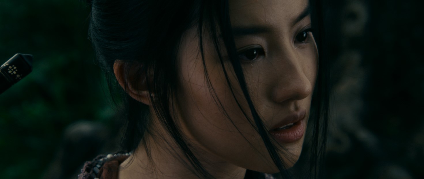 屏幕截图 2025-03-02 110752.jpg