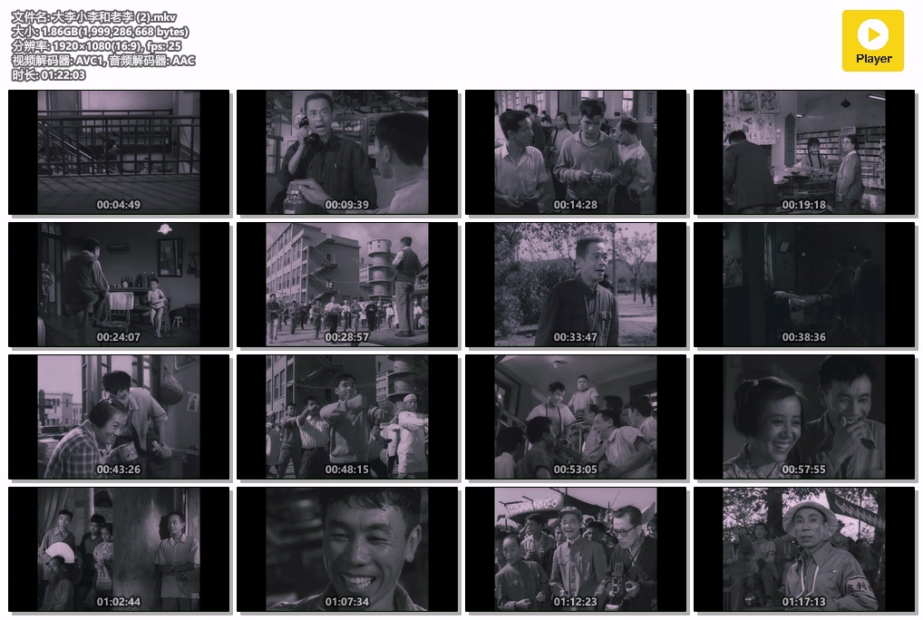 大李小李和老李 (2).mkv.jpg