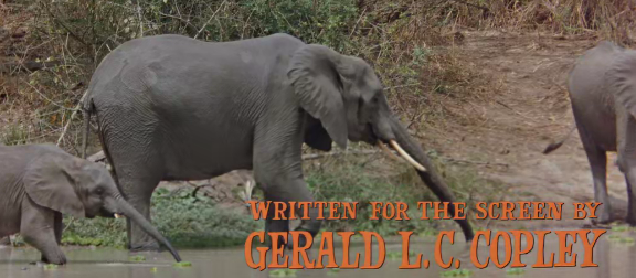 屏幕截图 2025-03-14 222345.png