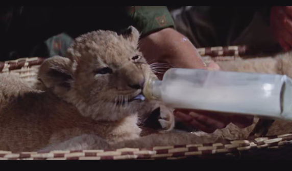 屏幕截图 2025-03-14 222525.png