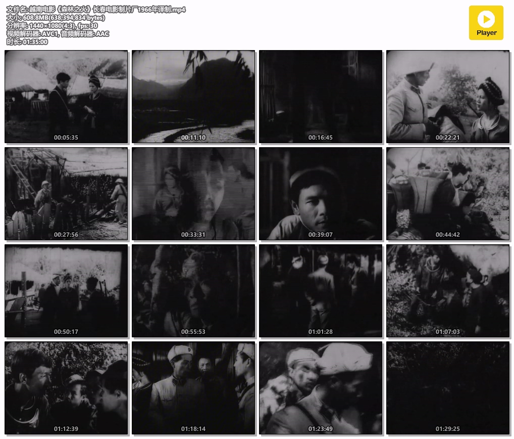 越南电影《森林之火》长春电影制片厂1966年译制.mp4.jpg