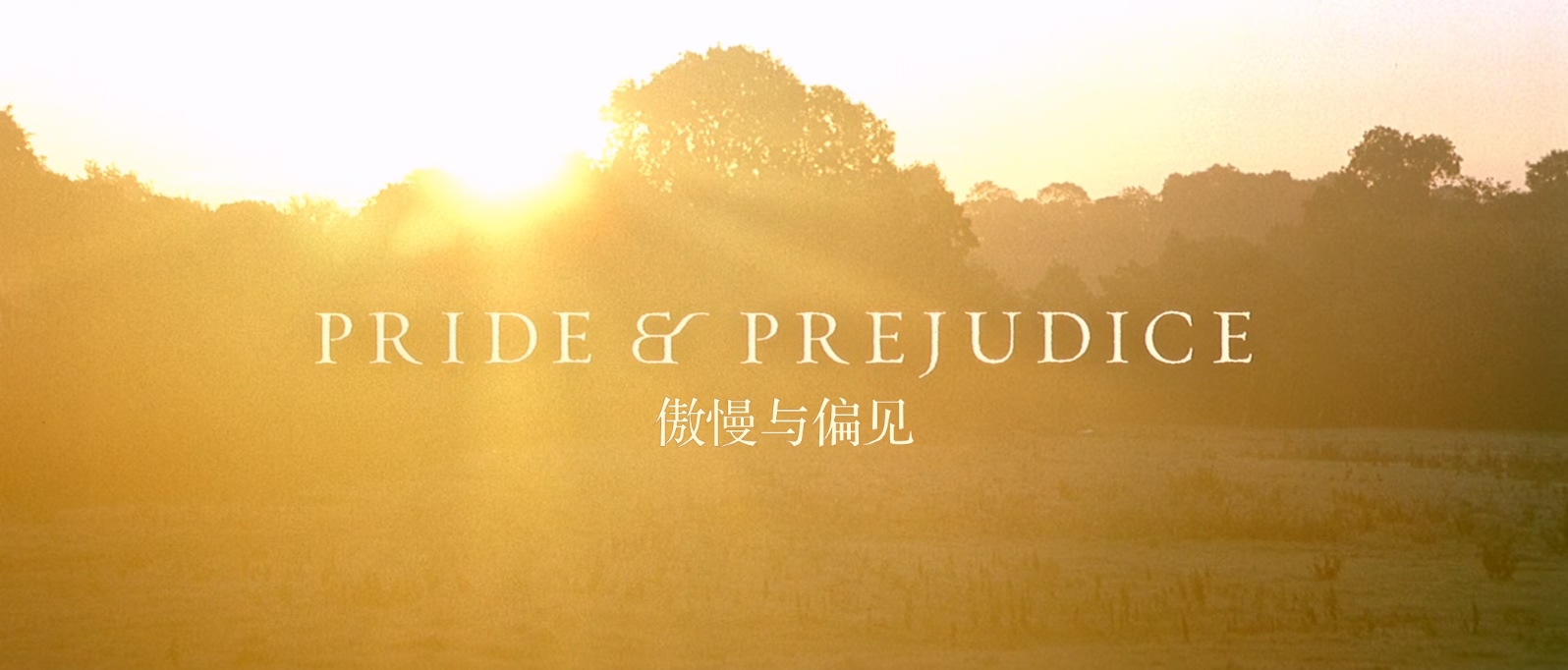傲慢与偏见.Pride.And.Prejudice.2005.US.Cut.1080p.BluRay.x265.3audio-RARBG特效字.jpg
