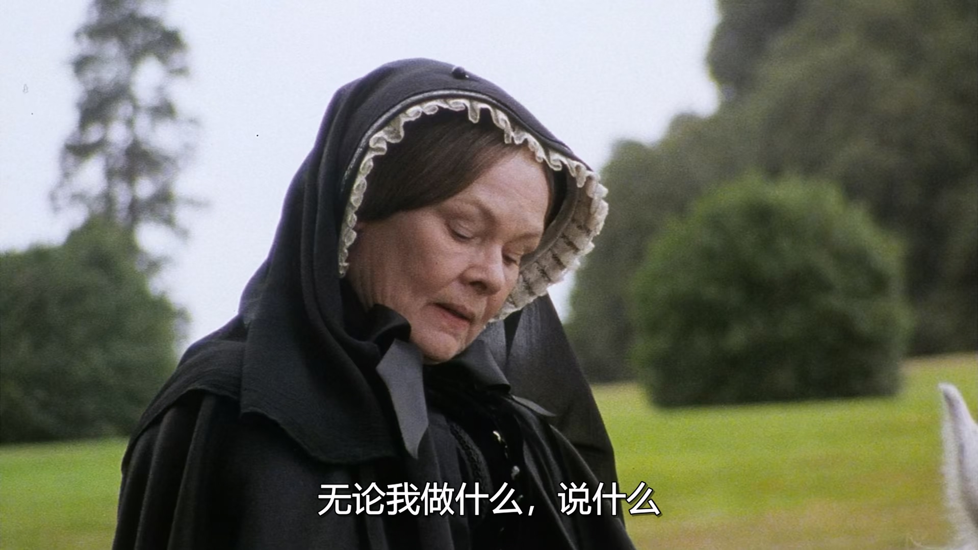 布朗夫人 (1997) 1080p [AC3, AAC] [zho, eng] h265.mkv_20250321_152946.746.jpg