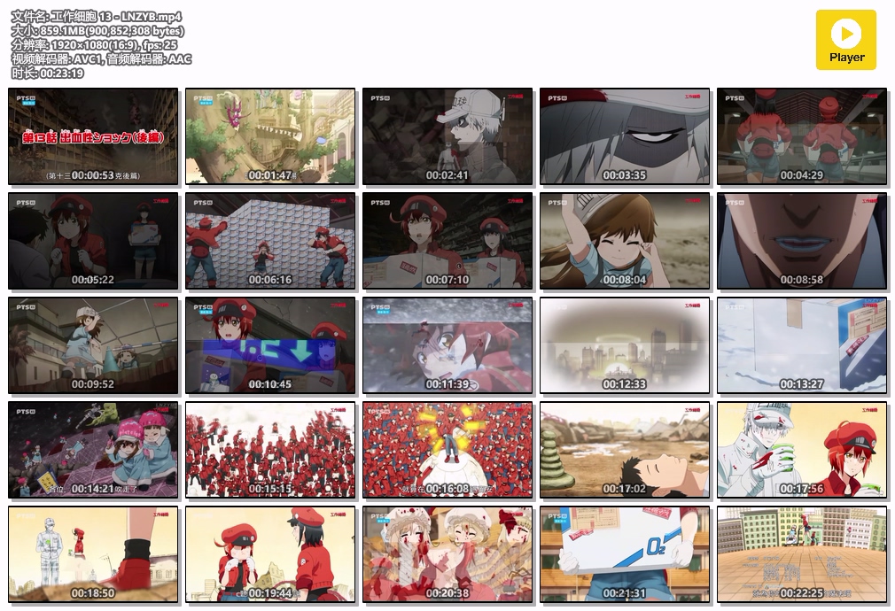 工作细胞 13 - LNZYB.mp4.jpg