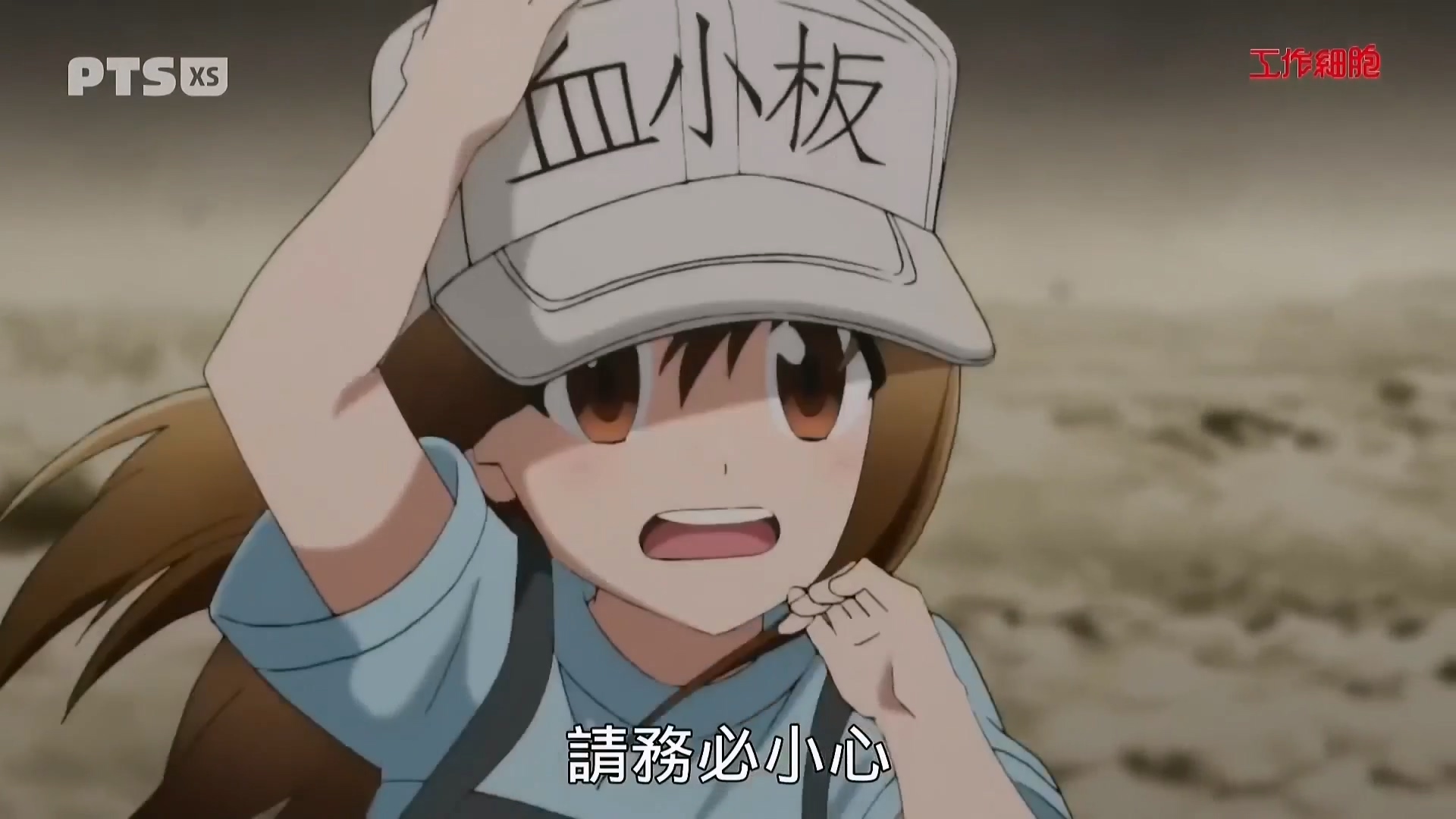 工作细胞 13 - LNZYB.mp4_20250327_121142.122.jpg