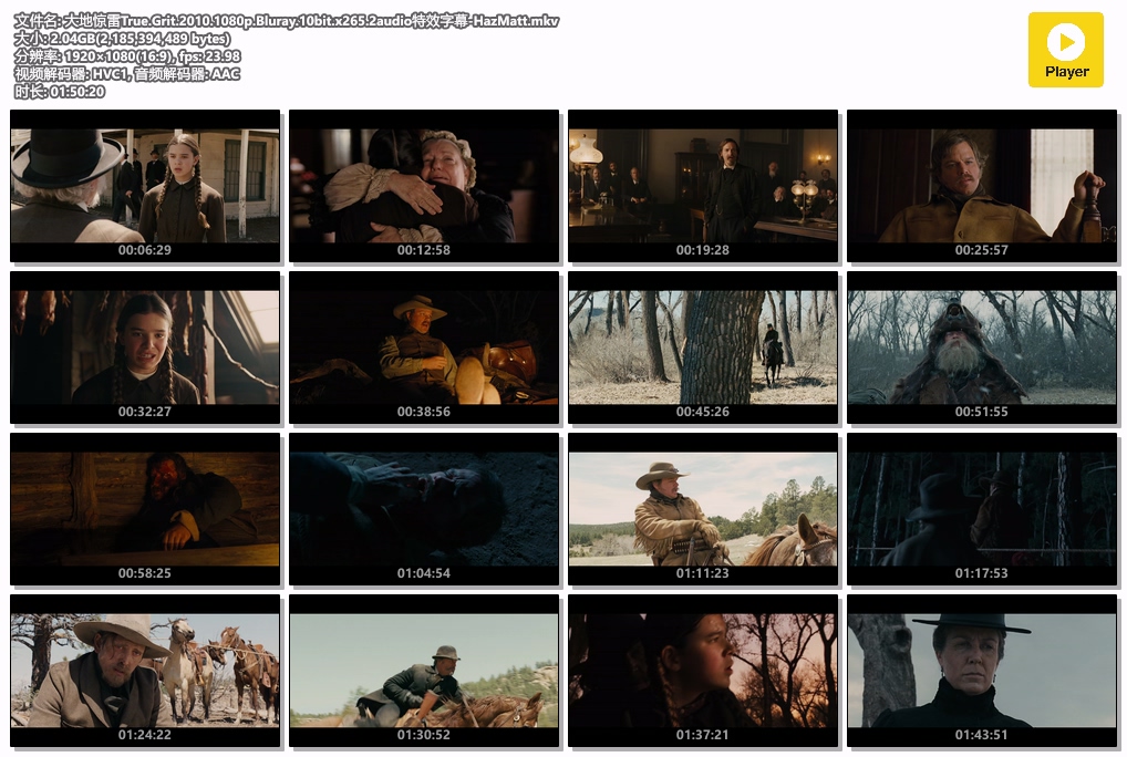 大地惊雷True.Grit.2010.1080p.Bluray.10bit.x265.2audio特效字幕-HazMatt.mkv.jpg