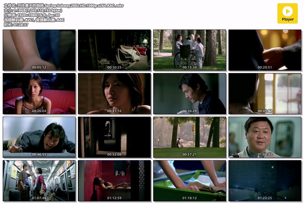 开往春天的地铁.Spring Subway.2002.HD.1080p.x264.AAC..mkv.jpg
