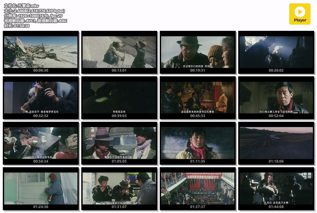 孔繁森.mkv.jpg