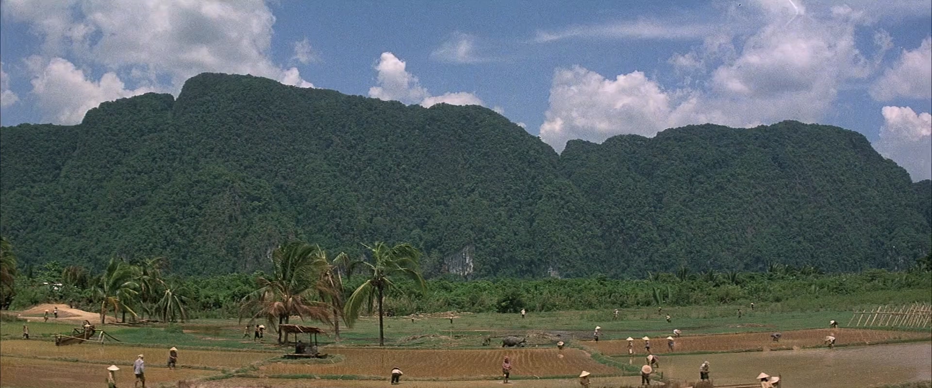 [越战创伤]加长版.Casualties of War (1989).PROPER.1080p.BluRay.H264.AAC.mkv_20250.jpg