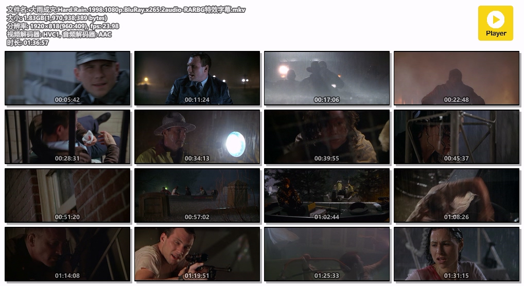 大雨成灾.Hard.Rain.1998.1080p.BluRay.x265.2audio-RARBG特效字幕.mkv.jpg