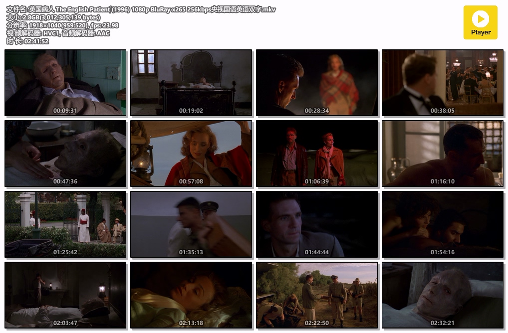 英国病人 The English Patient‎ (1996) 1080p BluRay x265 256kbps央视国语英语双字.mkv.jpg