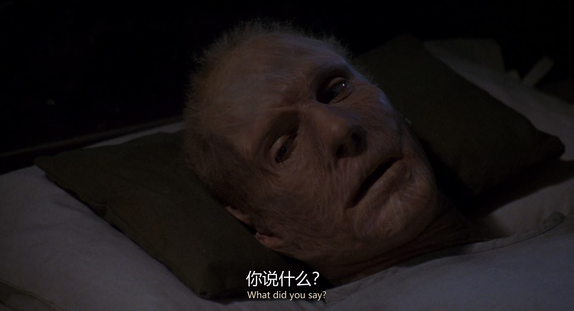 英国病人 The English Patient‎ (1996) 1080p BluRay x265 256kbps央视国语英语双字..jpg