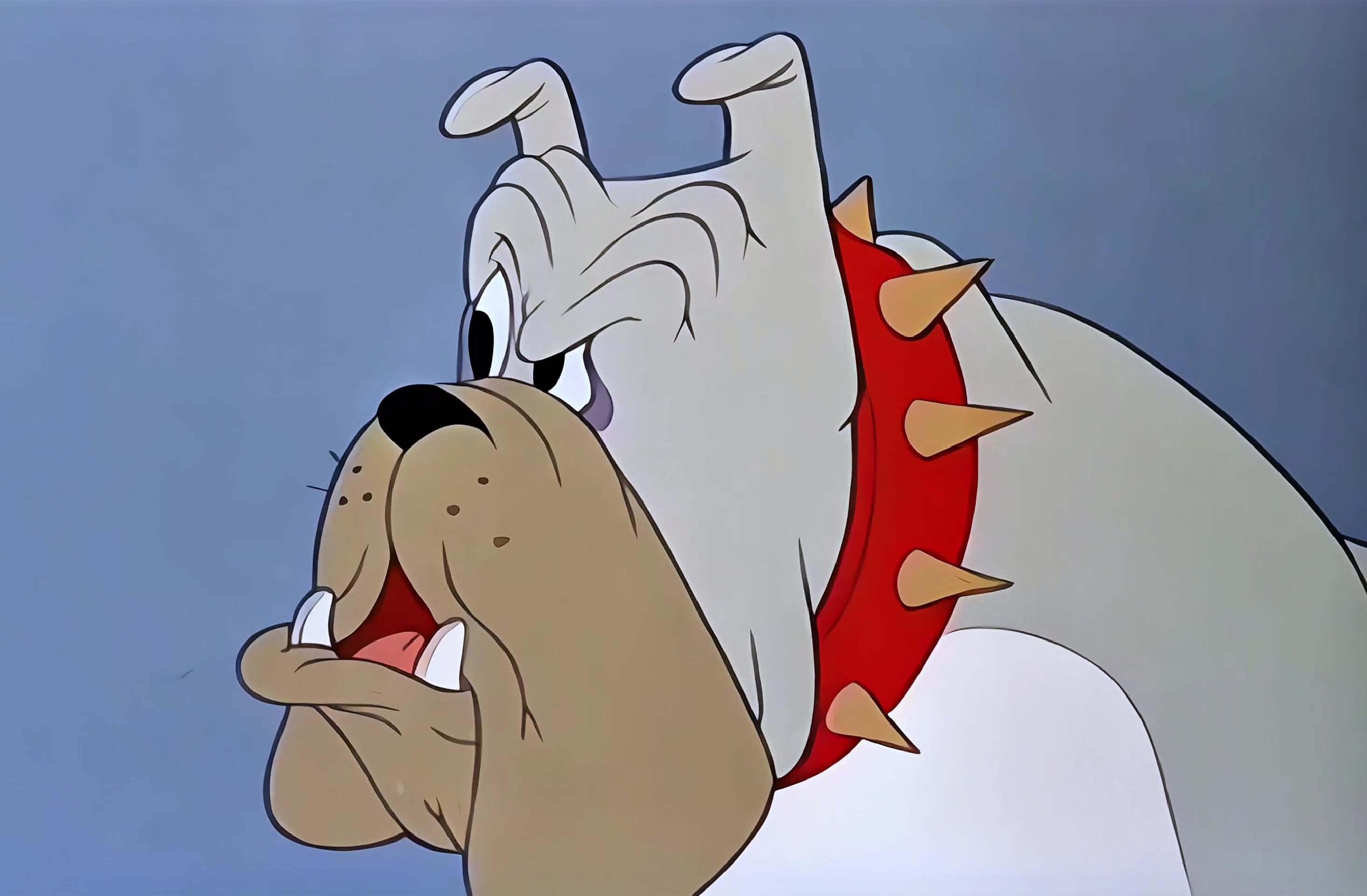 布鲁托 28.mkv_20250402_130107.732.jpg