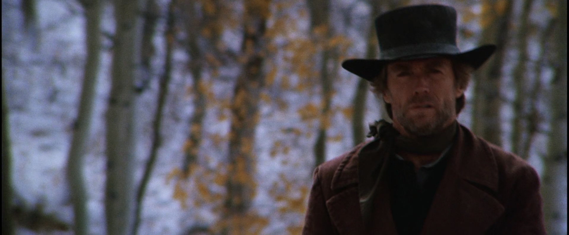 苍白骑士Pale.Rider.1985.1080p.BluRay.x265.HEVC.AC3-hclg (1).mkv_20250403_164406.936.jpg