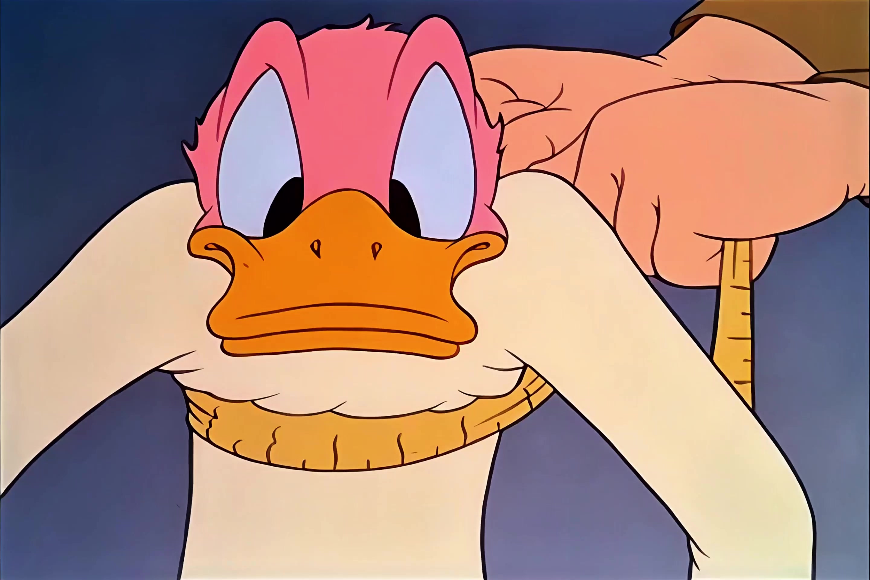 唐老鸭的幸福生活 39.mkv_20250405_020954.319.jpg