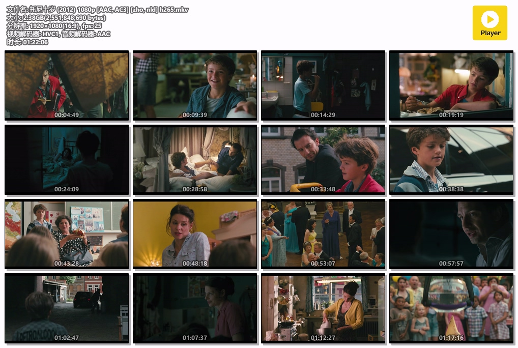 托尼十岁 (2012) 1080p [AAC, AC3] [zho, nld] h265.mkv.jpg