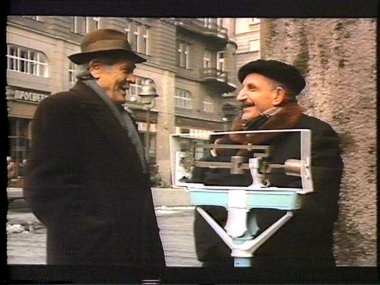 X 向日葵_20250405_125219.029.jpg