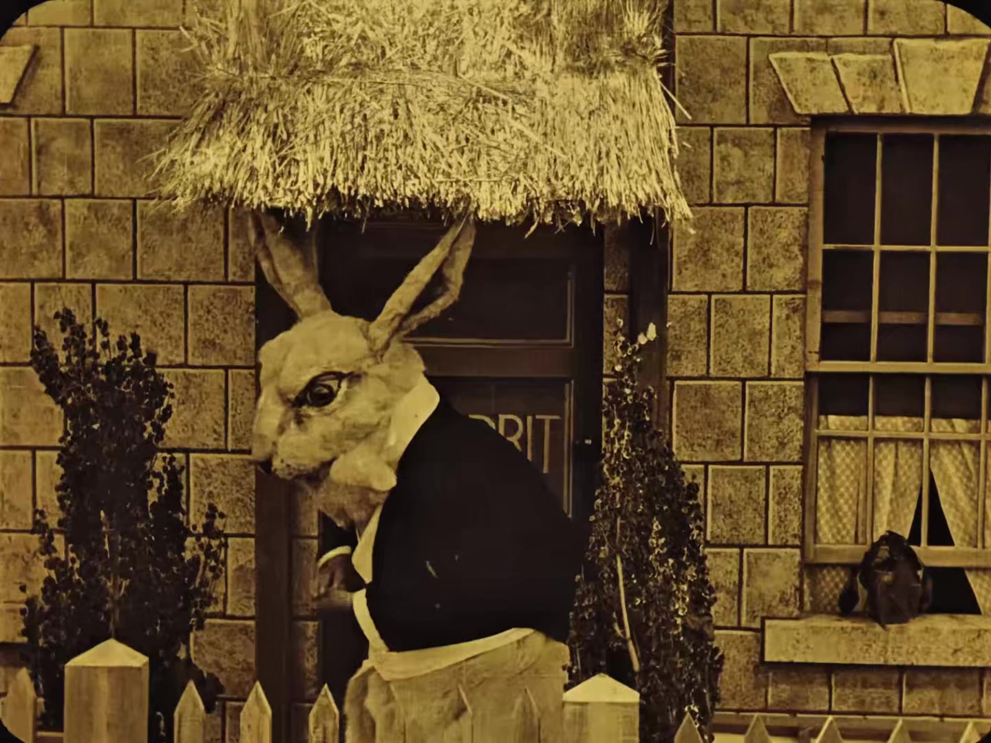 爱丽丝漫游仙境 1915.mp4_20250406_015659.571.jpg