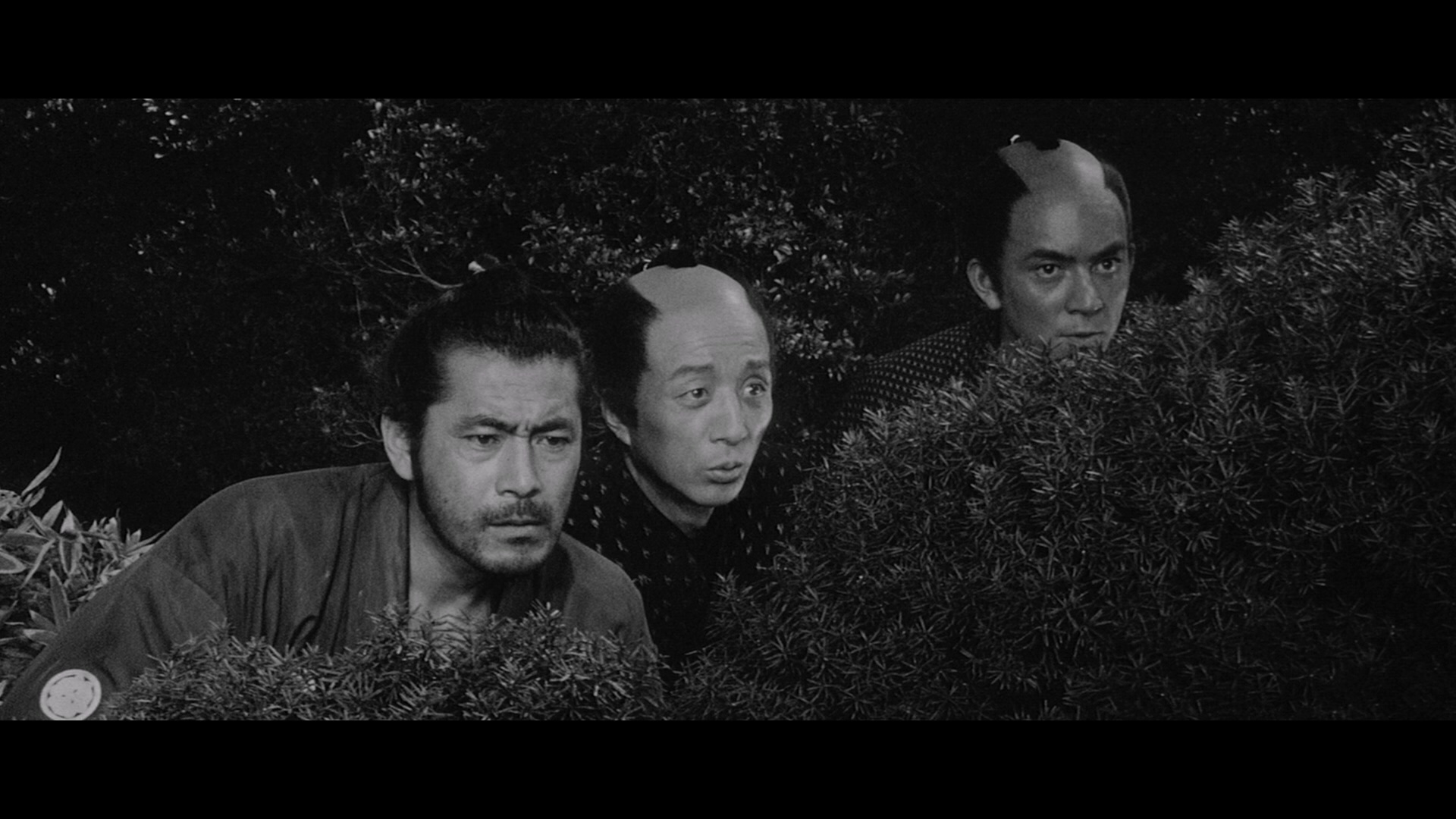 Sanjuro.1962.1080p.BluRay.Remux.AVC.DTS-HD.MA.3.0-QuickIO.mkv_20250407_194003.990.jpg