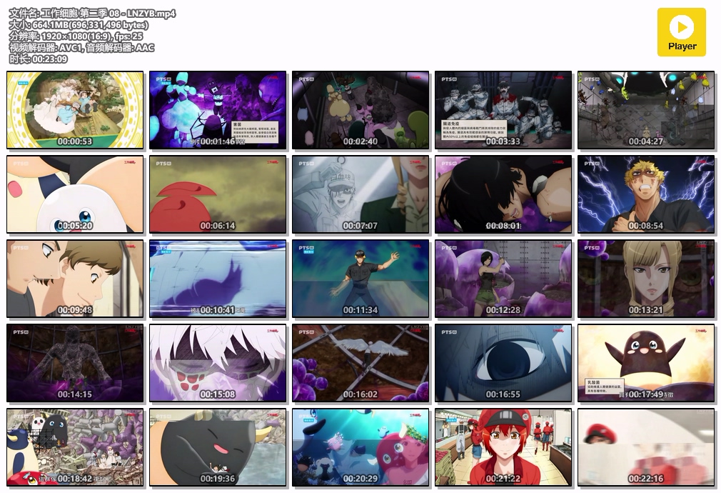 工作细胞 第二季 08 - LNZYB.mp4.jpg