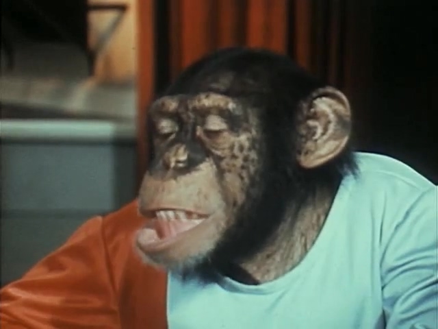 Ark II - S01E09 - Robin Hood.mp4_20250409_124332.158.jpg