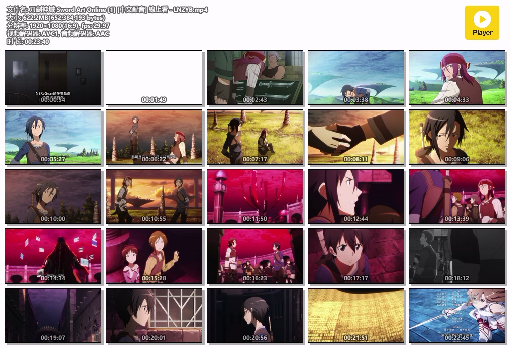 刀劍神域 Sword Art Online [1] [中文配音] 線上看 - LNZYB.mp4.jpg