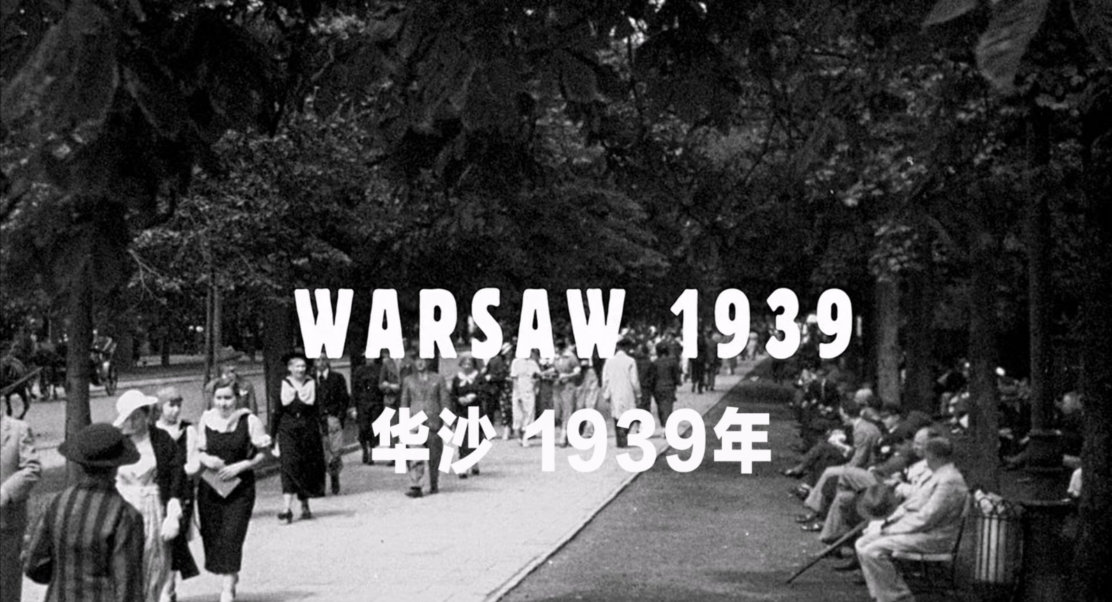 钢琴家.The.Pianist.2002.1080p.BluRay.x265.3audio-RARBG特效字幕 (1).mkv_20250411_.jpg