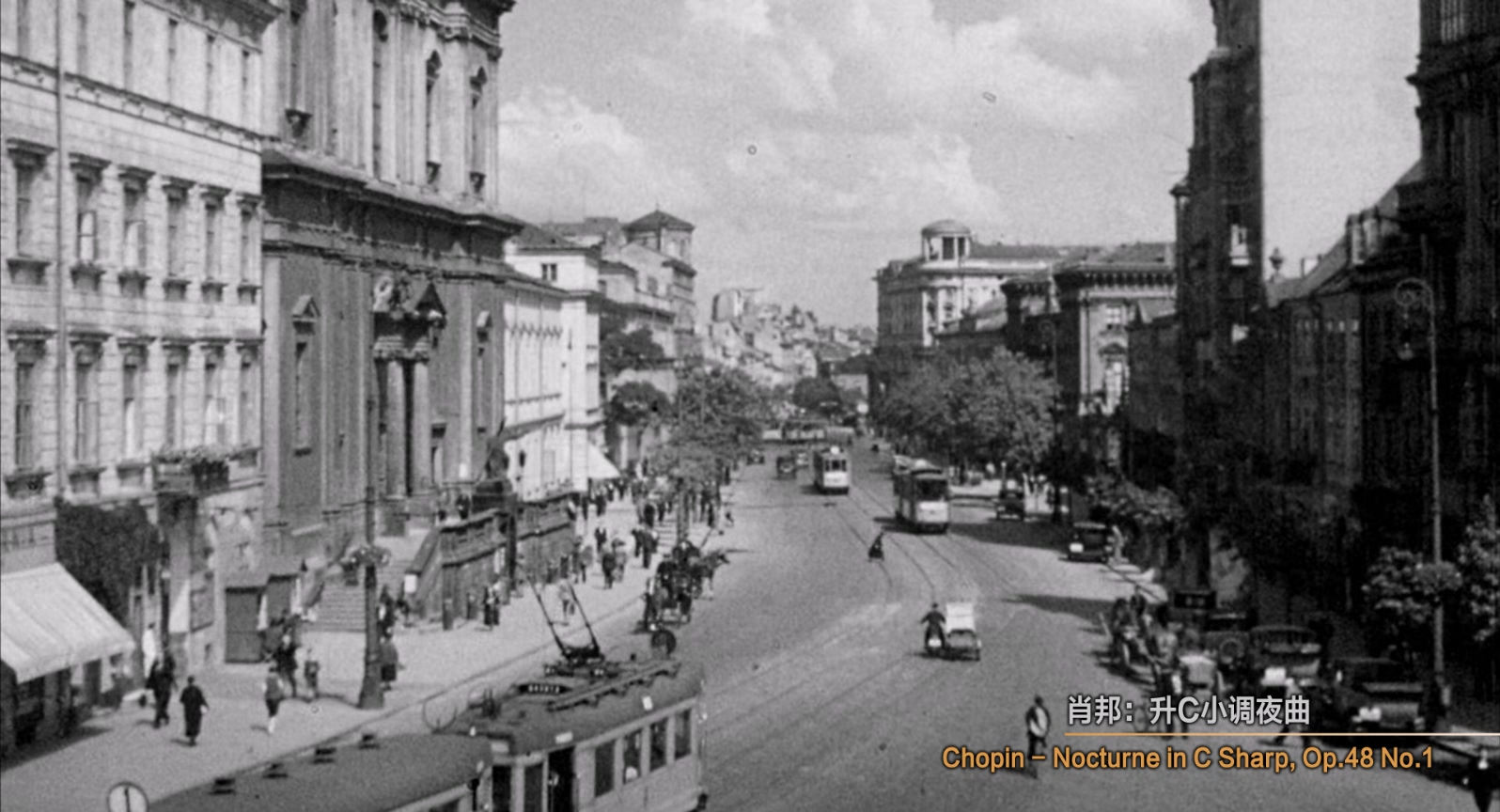 钢琴家.The.Pianist.2002.1080p.BluRay.x265.3audio-RARBG特效字幕 (1).mkv_20250411_.jpg