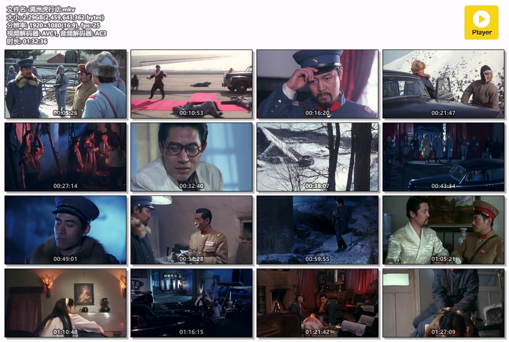 满洲虎行动.mkv.jpg