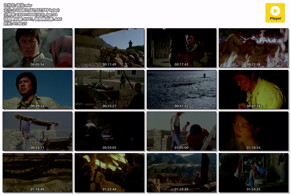 盲流.mkv.jpg