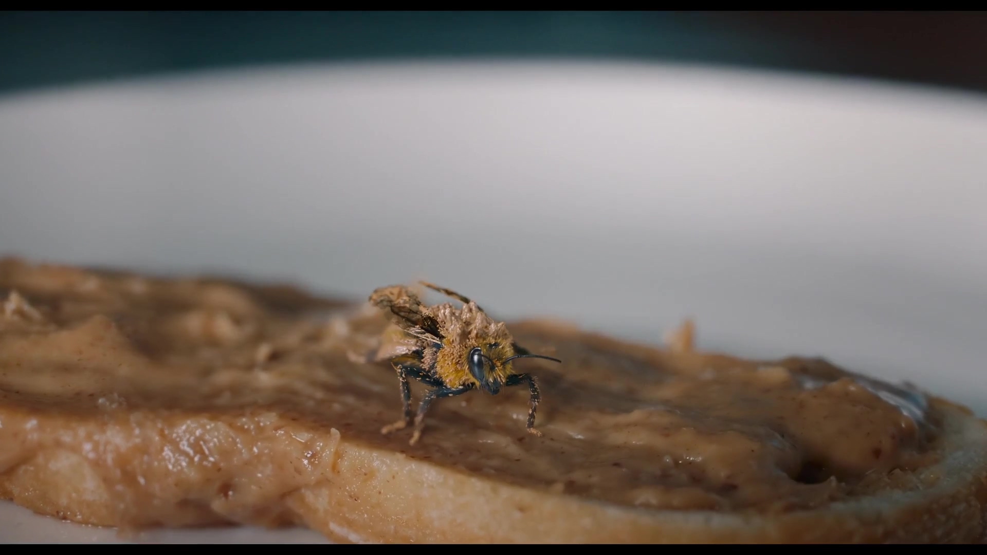 人来蜂 憨豆.MP4_20250411_005933.532.jpg