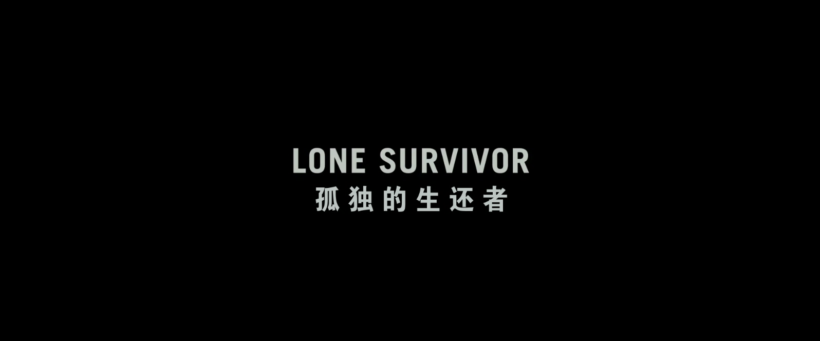 孤独的幸存者.Lone.Survivor.2013.BluRay.1080p.x265.10bit.AAC.2audio特效字幕 (1).m.jpg