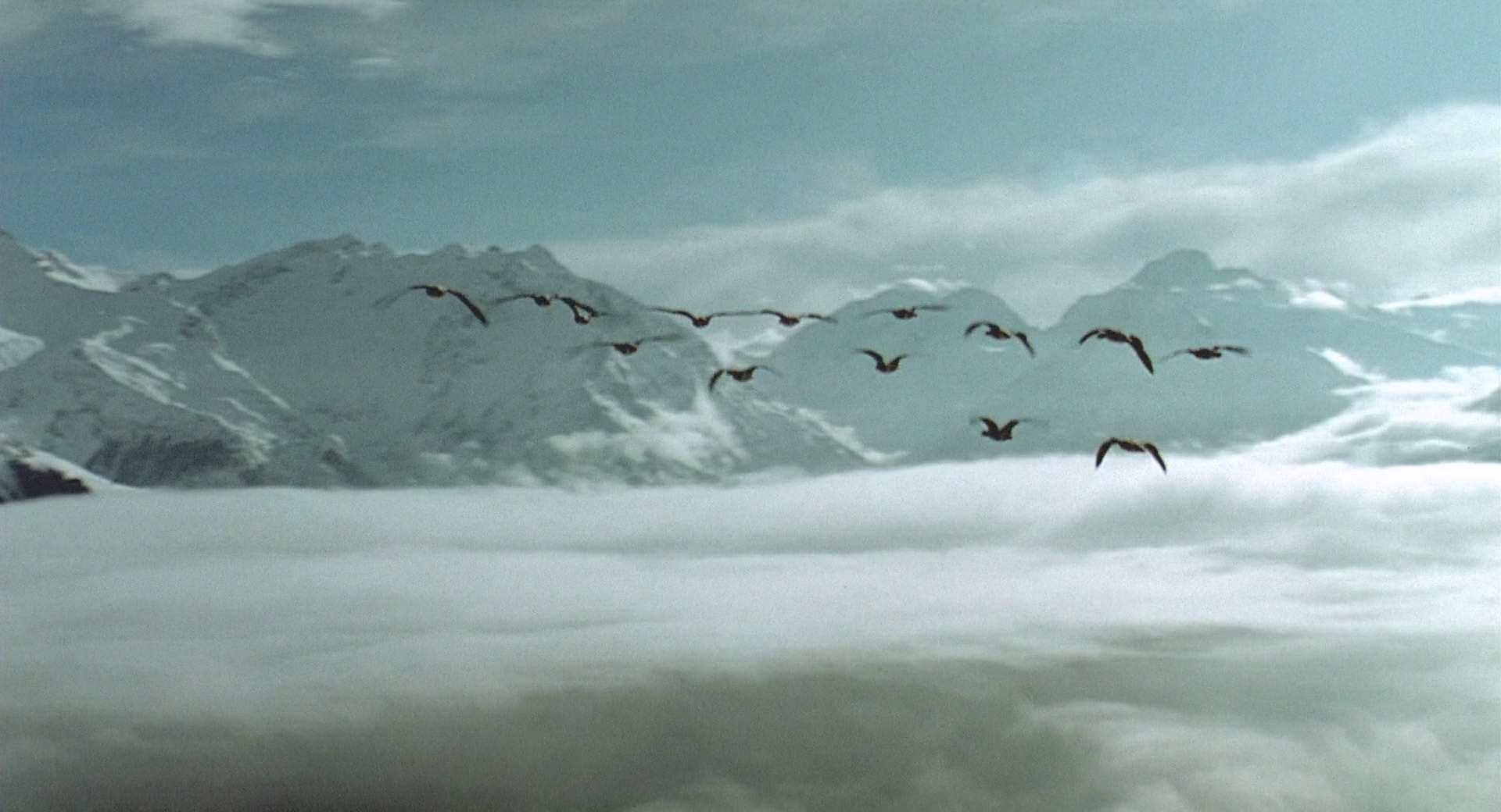 Winged.Migration.2001.Bluray.1080p.DTS.4Audio.x264-CHD.mkv_20250416_201336.773.jpg