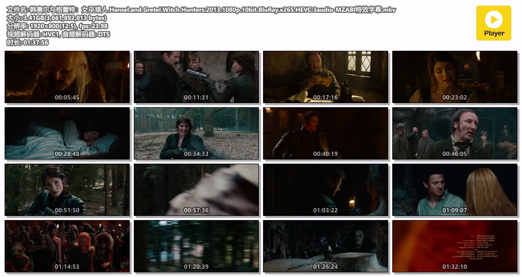 韩赛尔与格蕾特：女巫猎人.Hansel.and.Gretel.Witch.Hunters.2013.1080p.10bit.BluRay.jpg