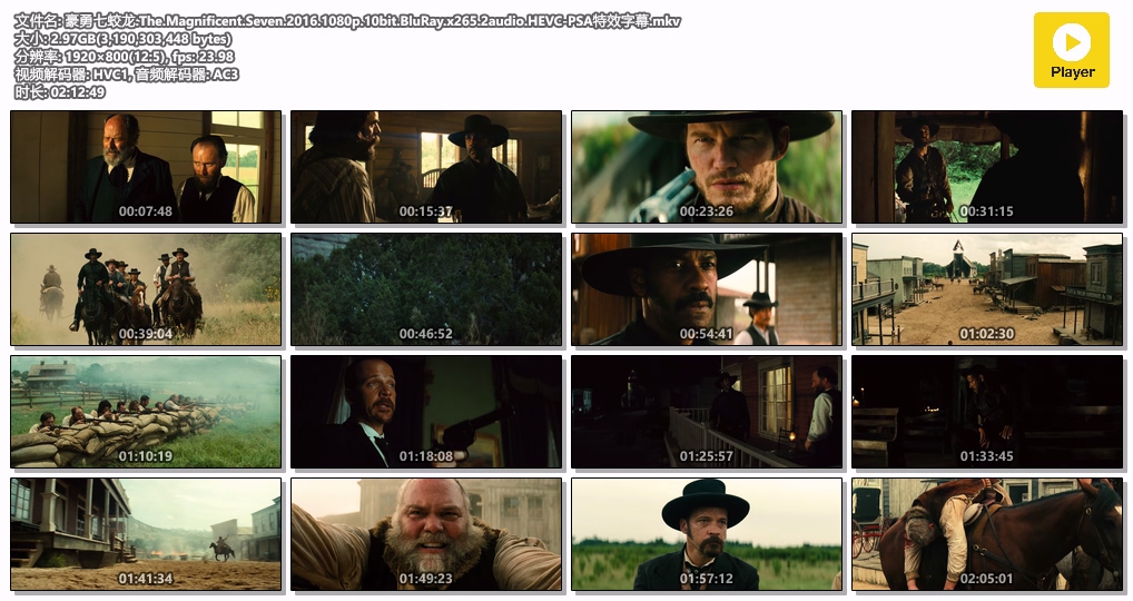 豪勇七蛟龙.The.Magnificent.Seven.2016.1080p.10bit.BluRay.x265.2audio.HEVC-PSA特.jpg