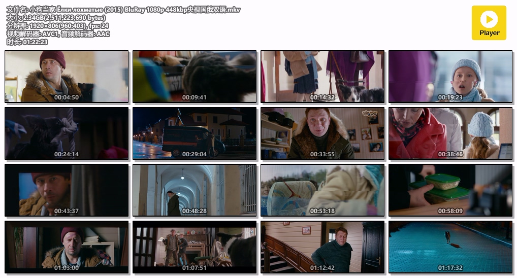 小狗当家 Ёлки лохматые (2015) BluRay 1080p 448kbp央视国俄双语.mkv.jpg