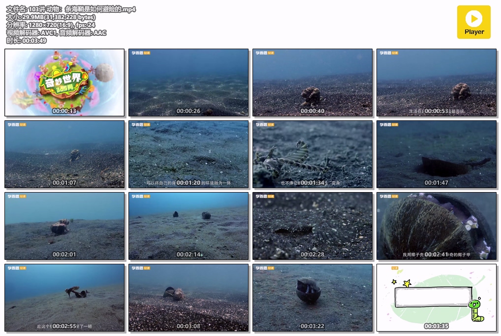 103讲 动物：条海鞘是如何避险的.mp4.jpg