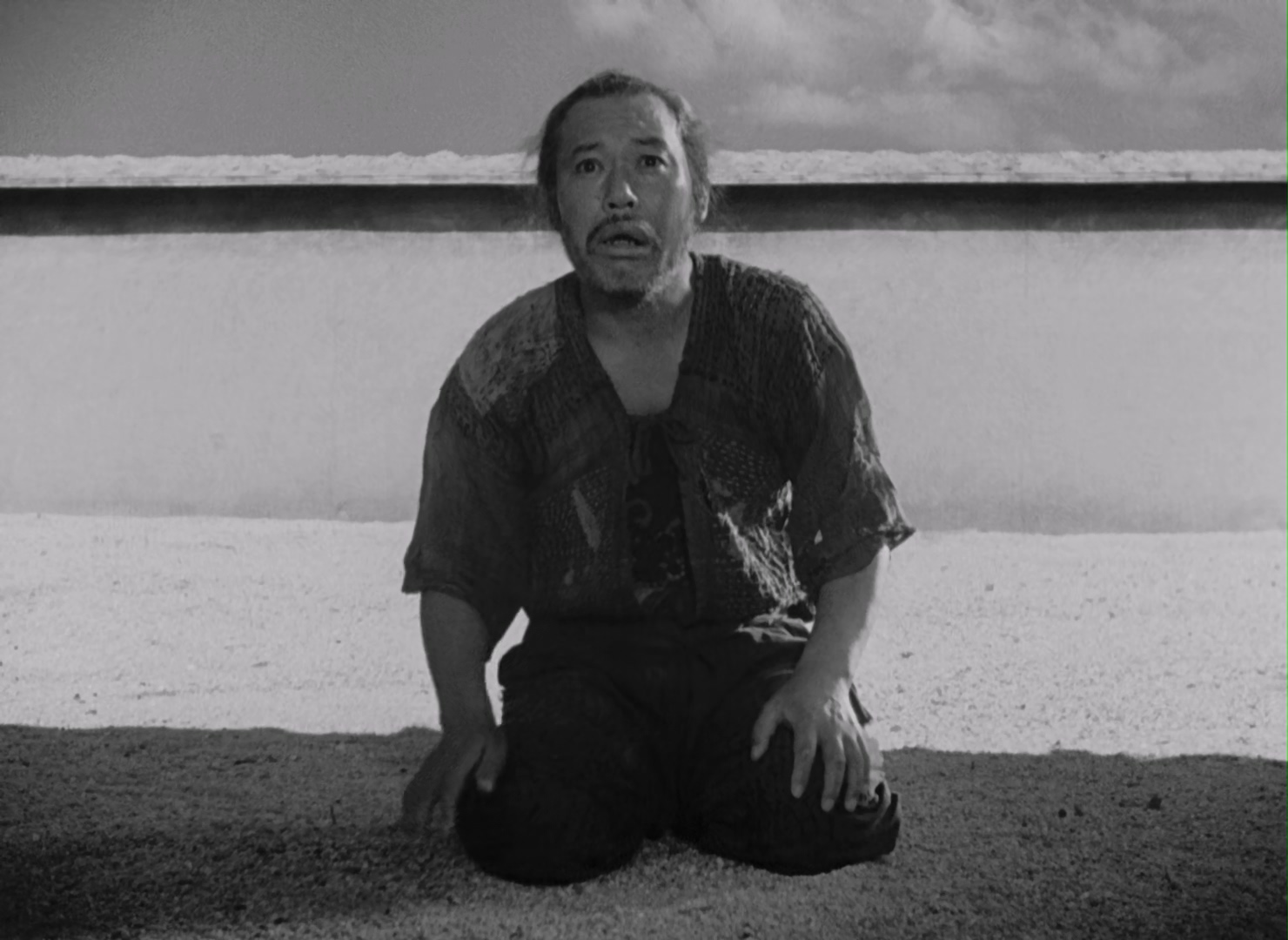罗生门(CC标准收藏版).Rashomon.1950.Criterion.Collection.Bluray.1080p.x265.AAC.4A.jpg