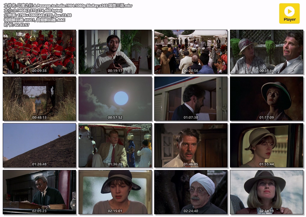 印度之行.A.Passage.to.India.1984.1080p.BluRay.x265.国英三语.mkv.jpg